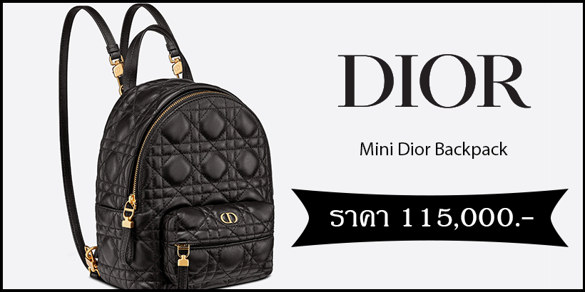 Mini Dior Backpack