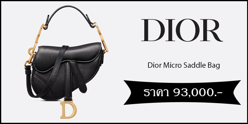 Dior Micro Saddle