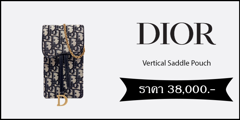 Dior Vertical Saddle Pouch